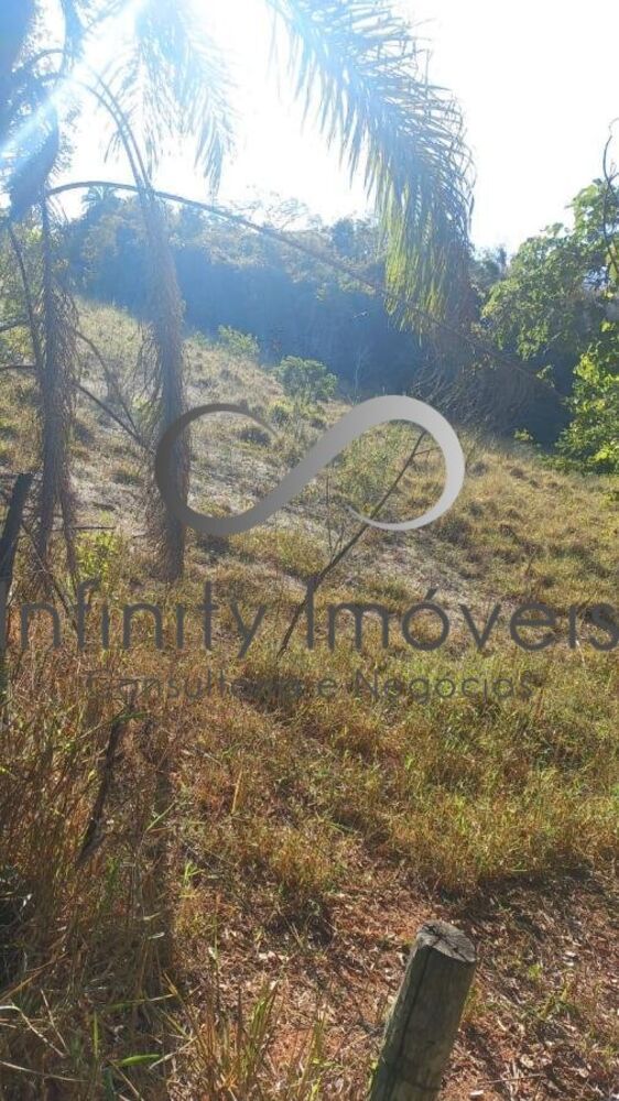 Terreno, 2 hectares - Foto 13