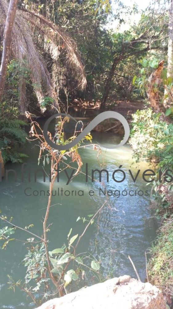 Terreno, 2 hectares - Foto 11