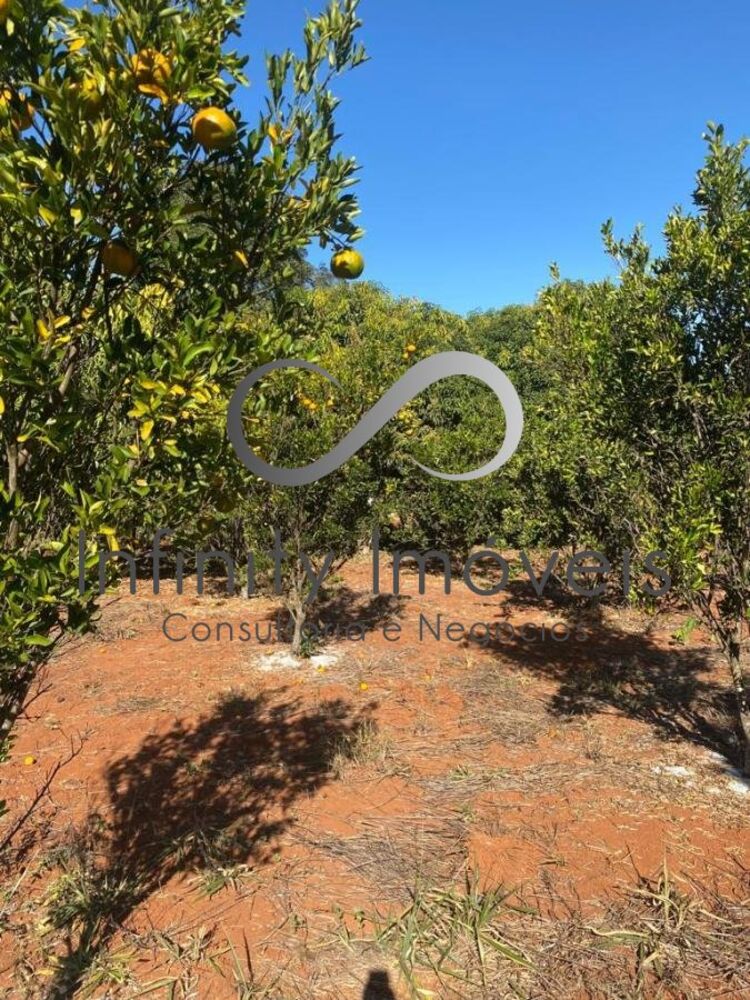 Fazenda, 2 quartos - Foto 16