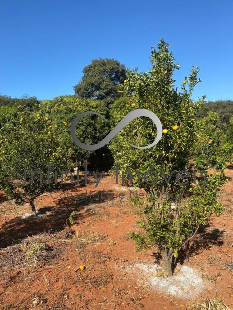 Fazenda, 2 quartos - Foto 18