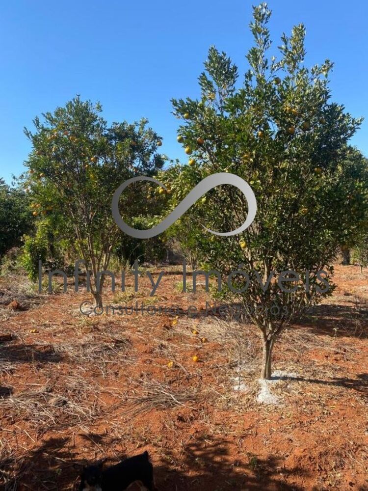 Fazenda, 2 quartos - Foto 13