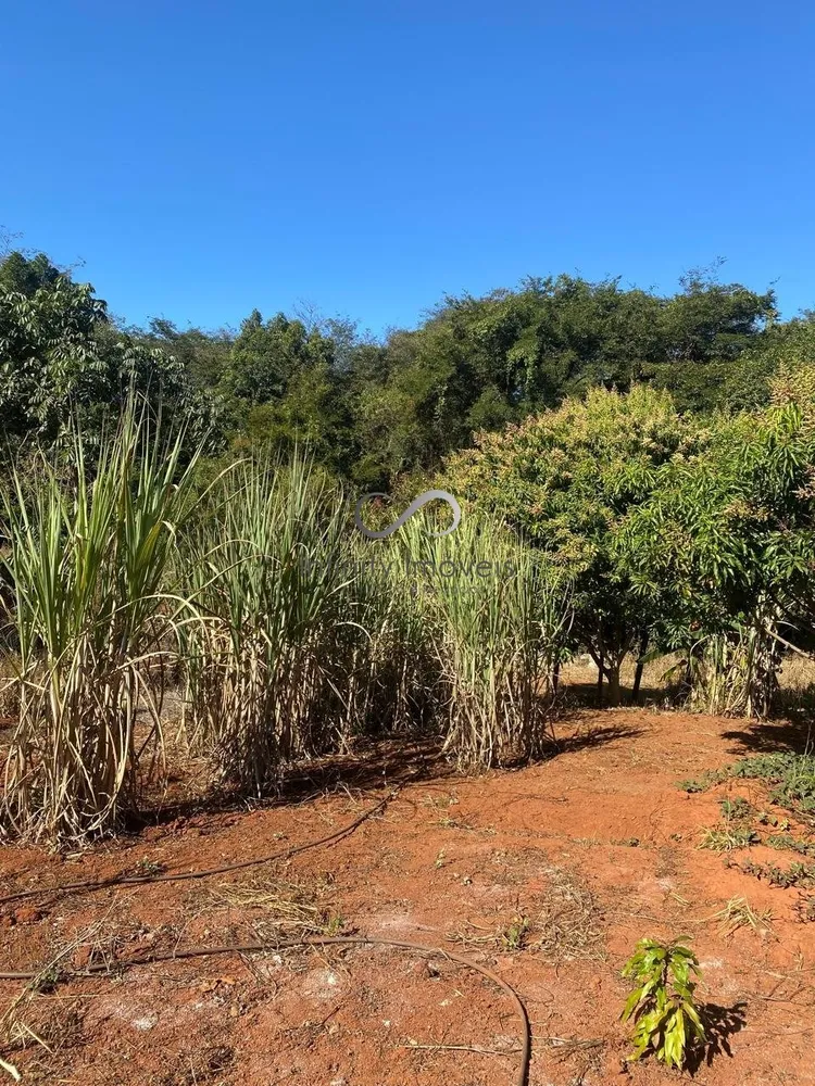Fazenda, 2 quartos - Foto 32