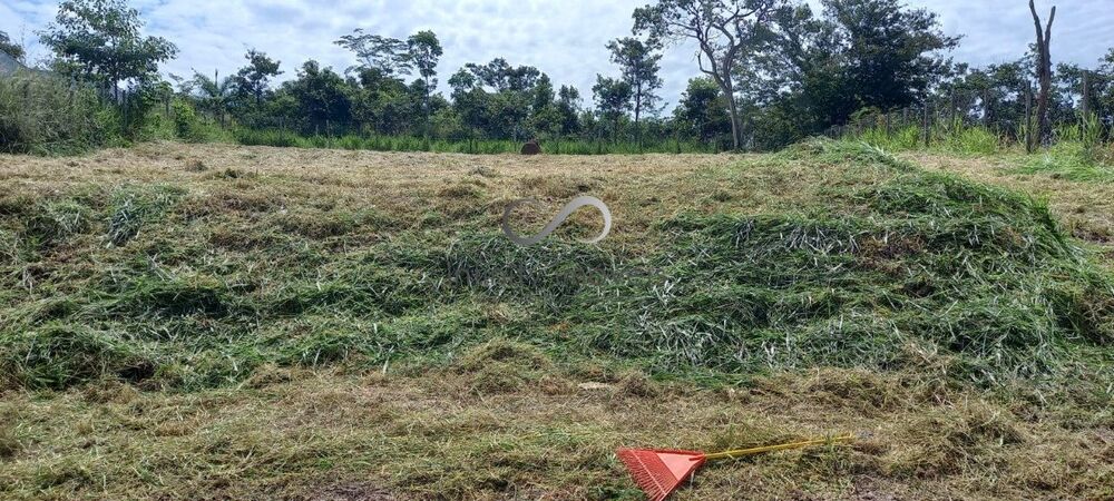 Terreno, 980 m² - Foto 10