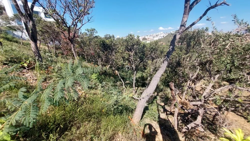 Terreno à venda, 1000 - Foto 4