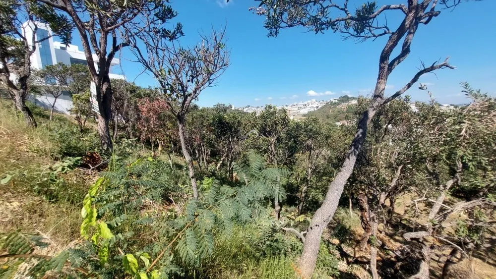 Terreno, 1000 m² - Foto 5