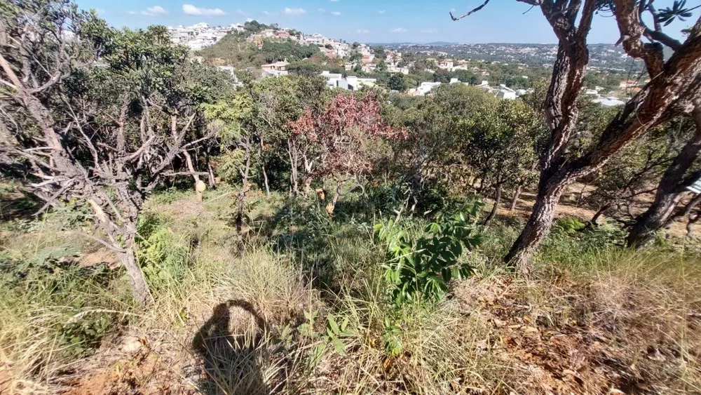 Terreno à venda, 1000 - Foto 3