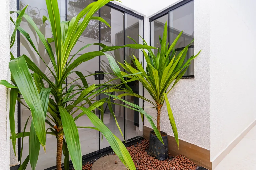 Casa, 3 quartos, 137 m² - Foto 4