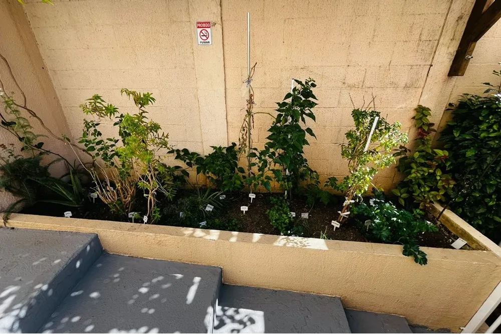 Apartamento, 2 quartos, 51 m² - Foto 3