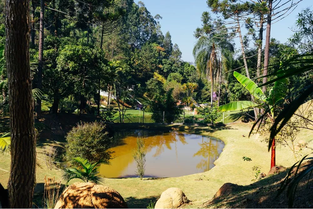 Chácara, 4 quartos, 6920 m² - Foto 4
