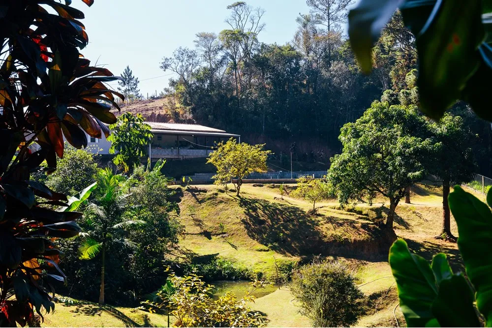 Chácara, 4 quartos, 6920 m² - Foto 18
