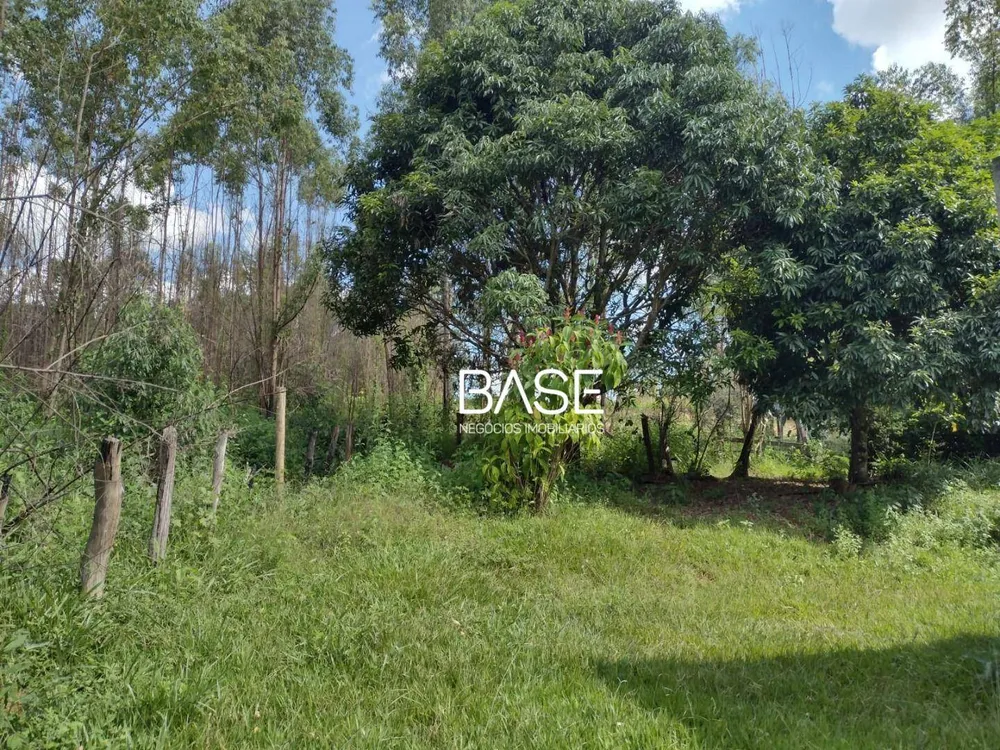 Terreno, 5 hectares - Foto 7