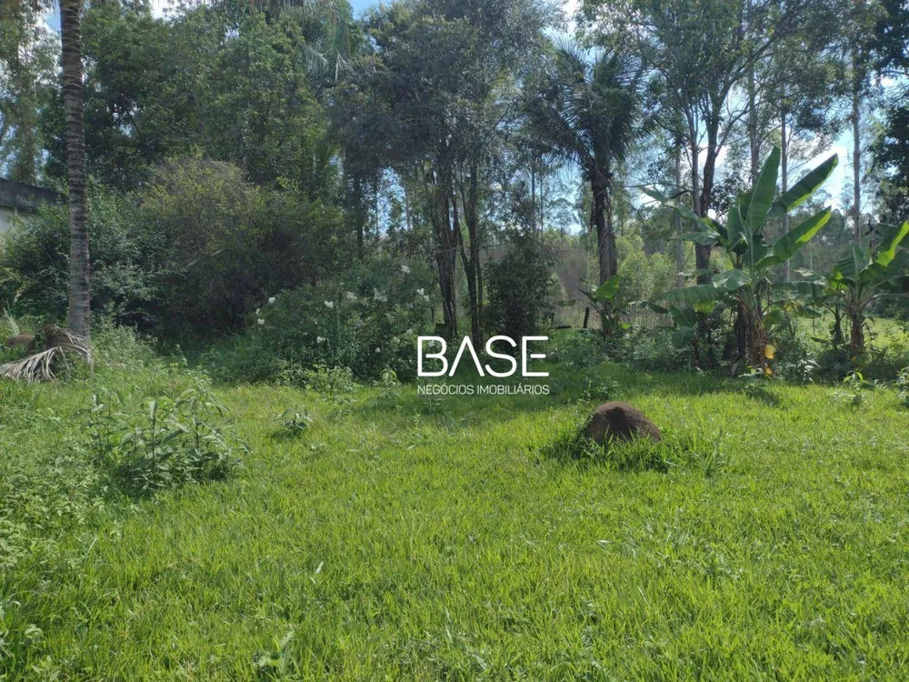 Terreno, 5 hectares - Foto 8