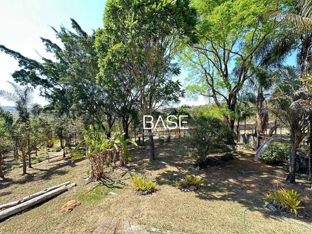 Sítio, 4 hectares - Foto 10