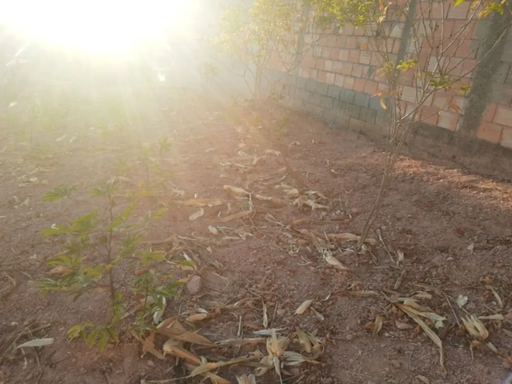 Terreno, 226 m² - Foto 3