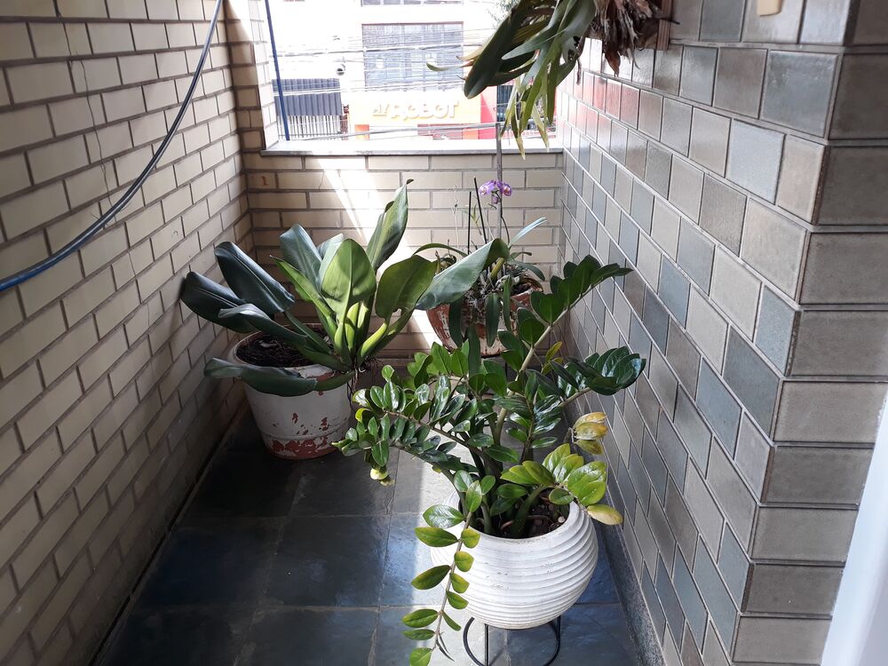 Casa, 3 quartos, 140 m² - Foto 2