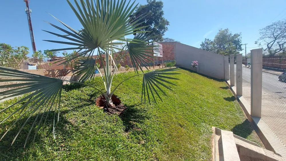 Terreno, 1000 m² - Foto 2