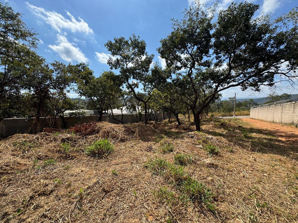 Terreno, 1000 m² - Foto 3
