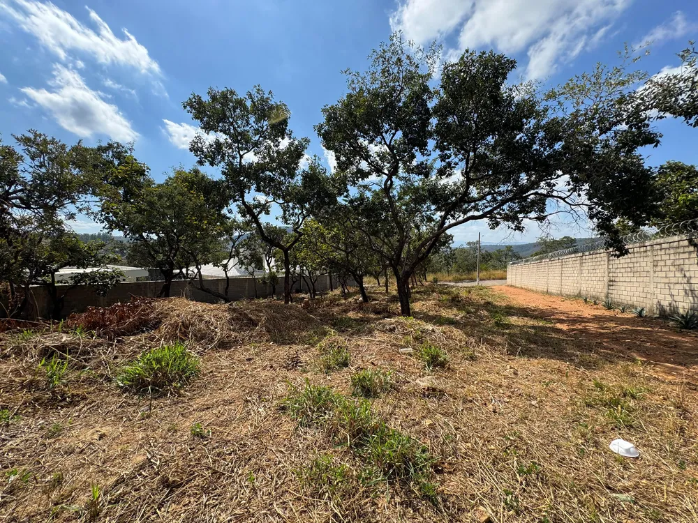 Terreno, 1000 m² - Foto 5