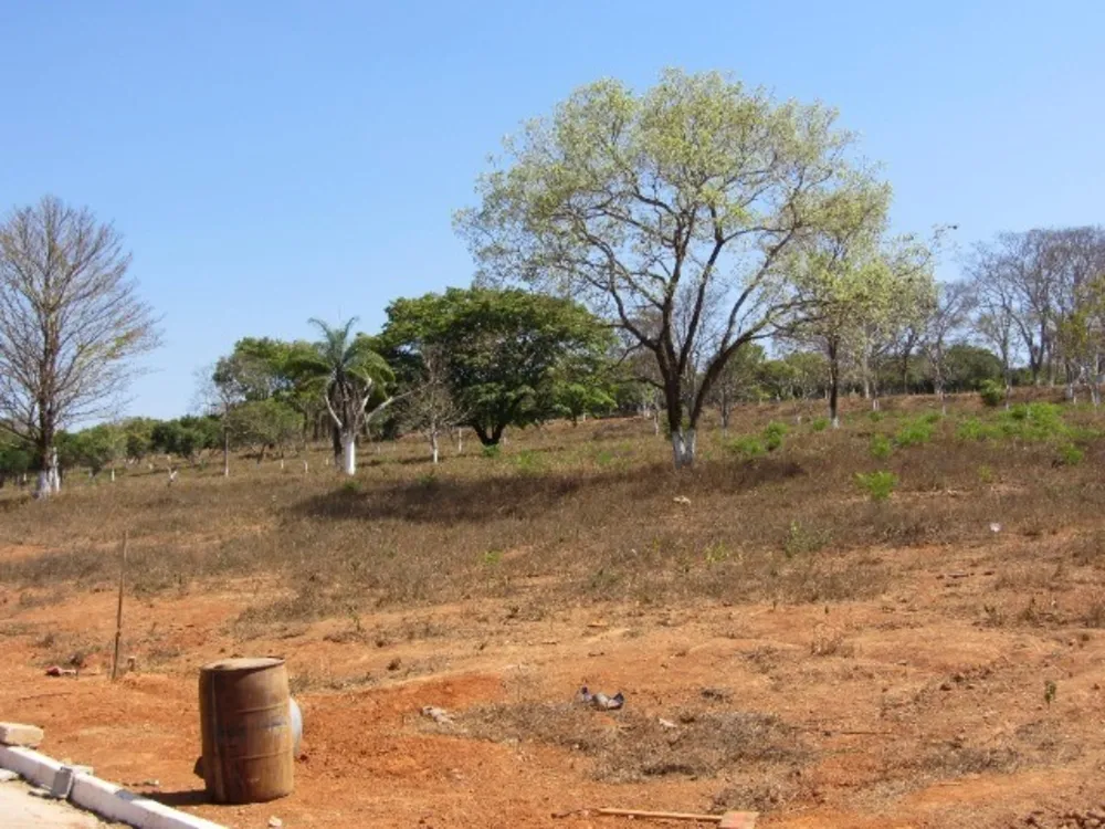 Terreno, 1000 m² - Foto 4