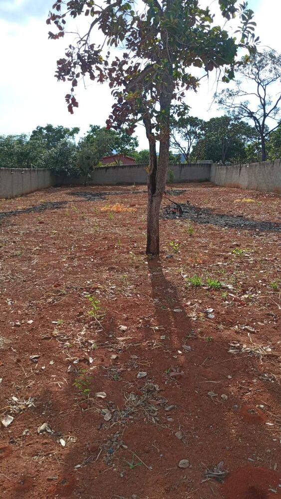 Terreno, 1000 m² - Foto 6