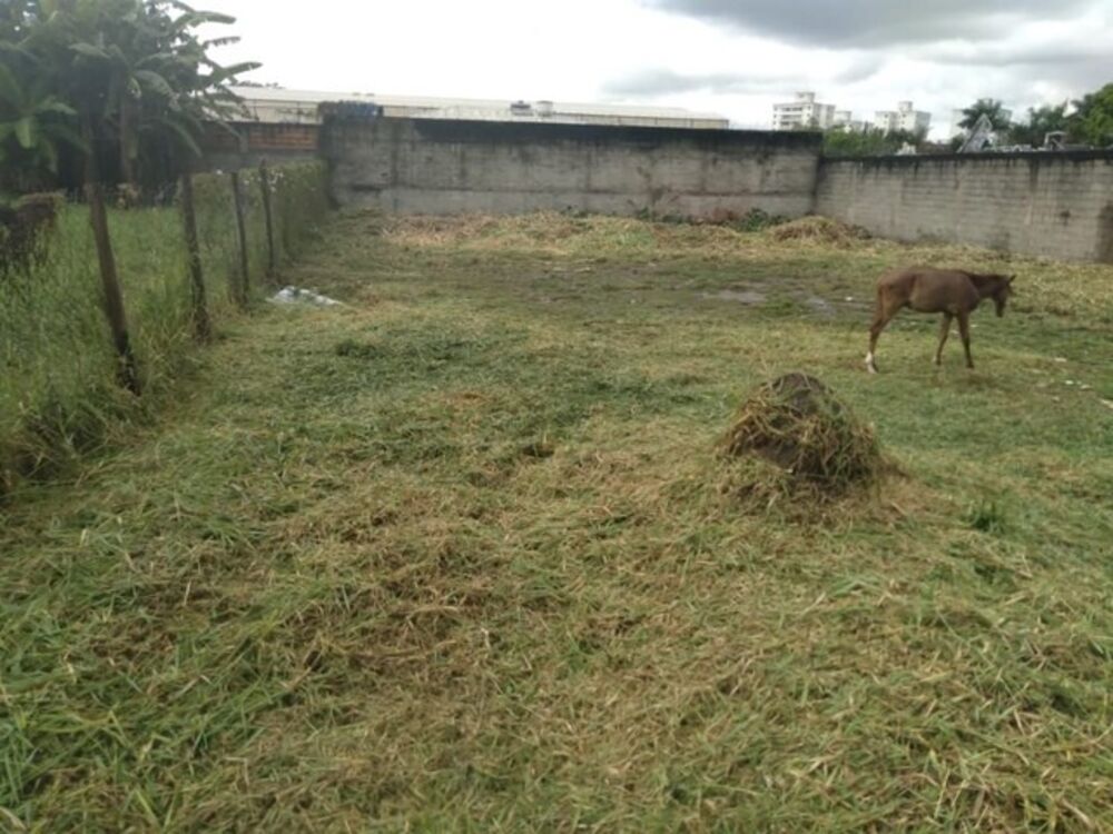 Terreno, 1000 m² - Foto 2