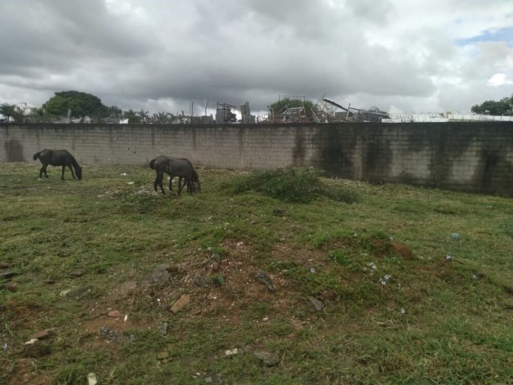 Terreno, 1000 m² - Foto 3