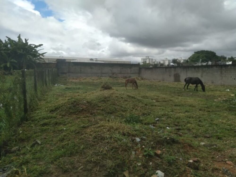 Terreno, 1000 m² - Foto 5