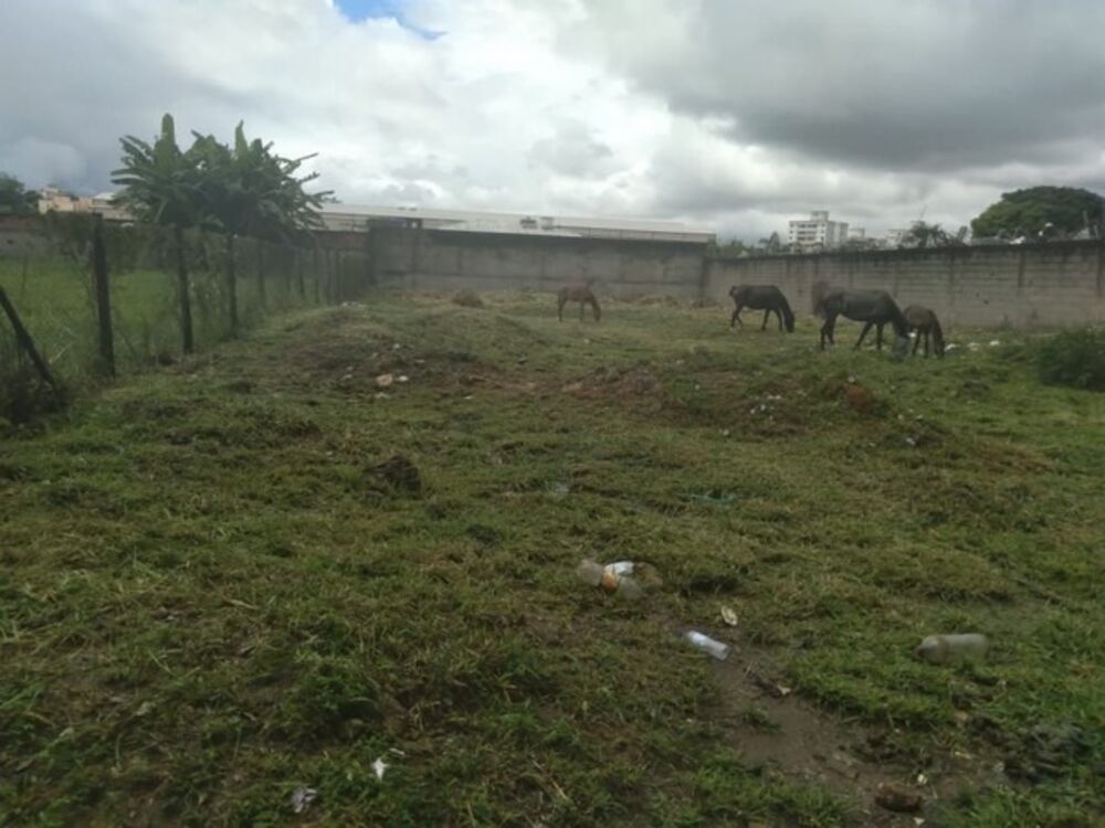 Terreno, 1000 m² - Foto 4