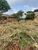 Terreno, 360 m² - Foto 4