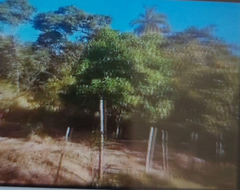 Terreno, 600 m² - Foto 1