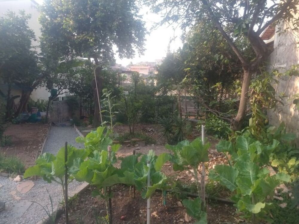 Terreno, 360 m² - Foto 1