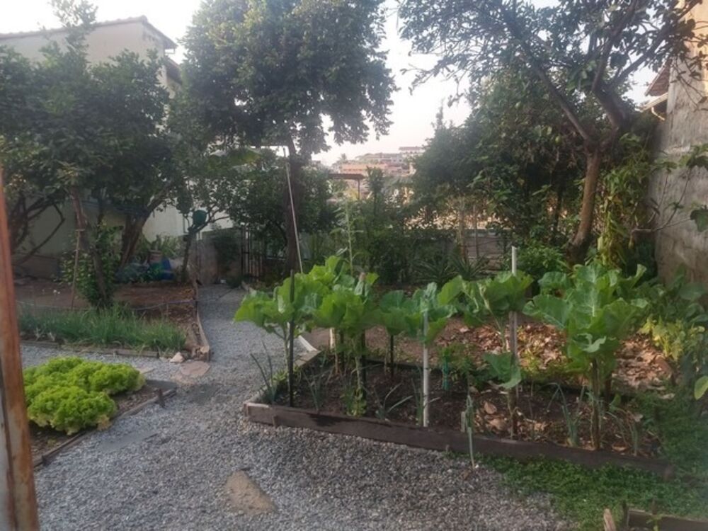 Terreno, 360 m² - Foto 2
