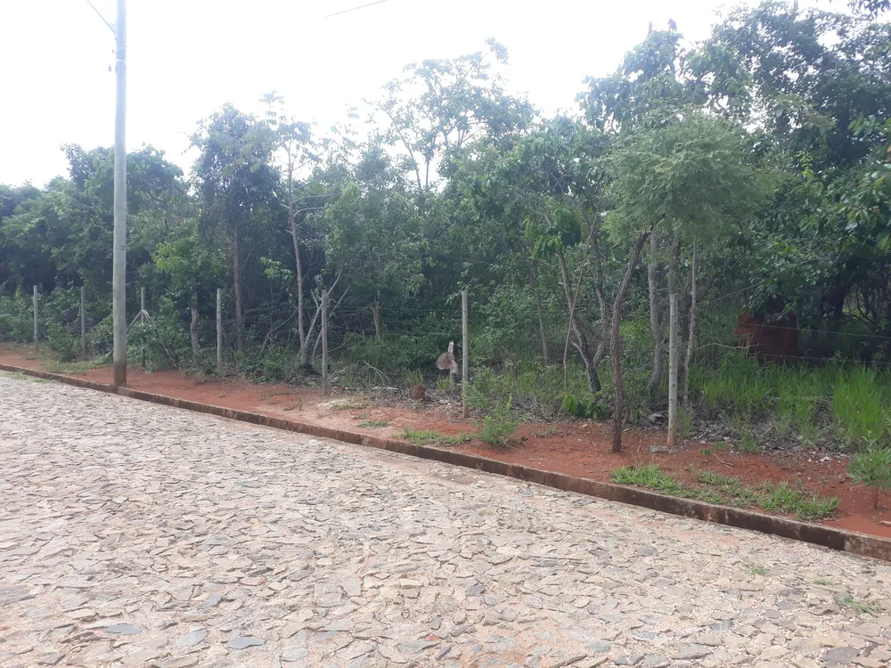 Terreno, 2040 m² - Foto 6