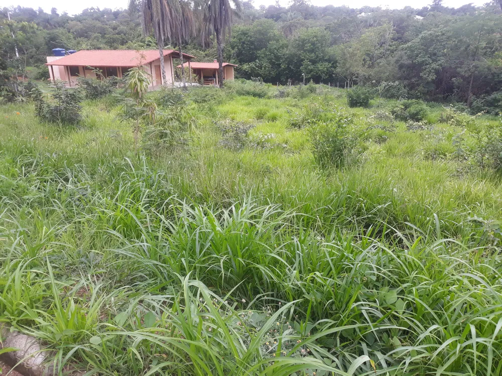 Terreno, 1518 m² - Foto 3