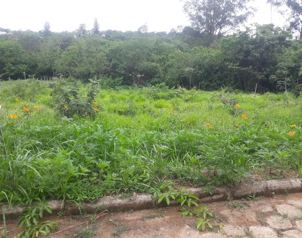 Terreno, 1518 m² - Foto 2