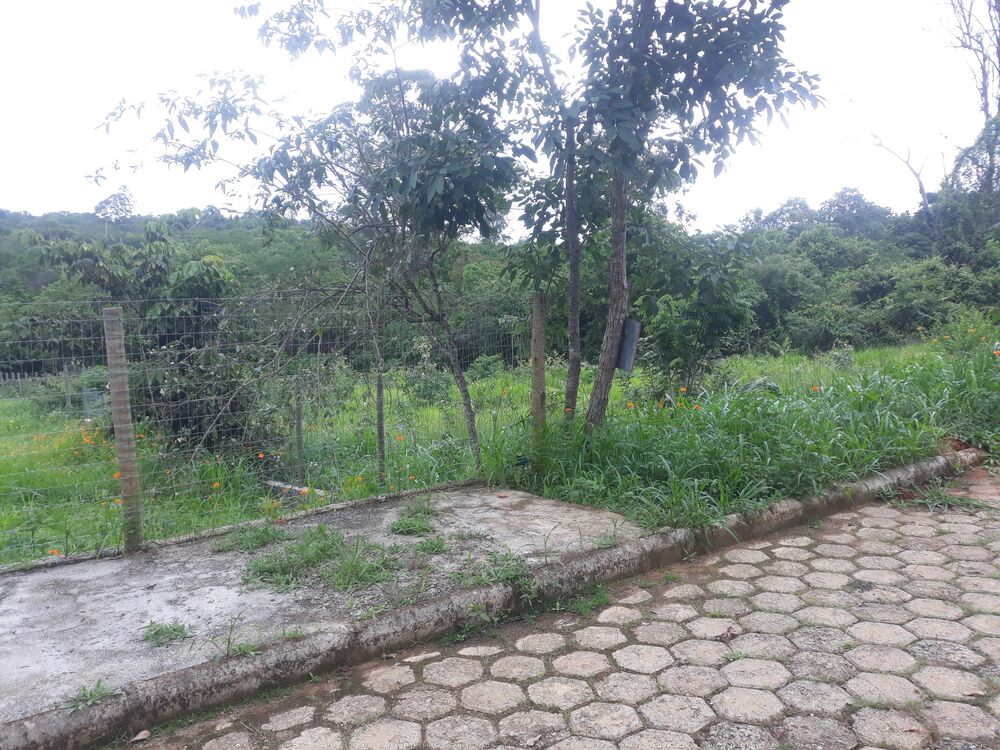 Terreno, 1518 m² - Foto 2