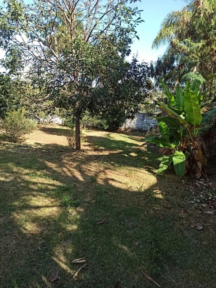 Terreno, 1300 m² - Foto 4