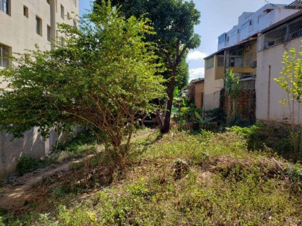 Terreno, 360 m² - Foto 6