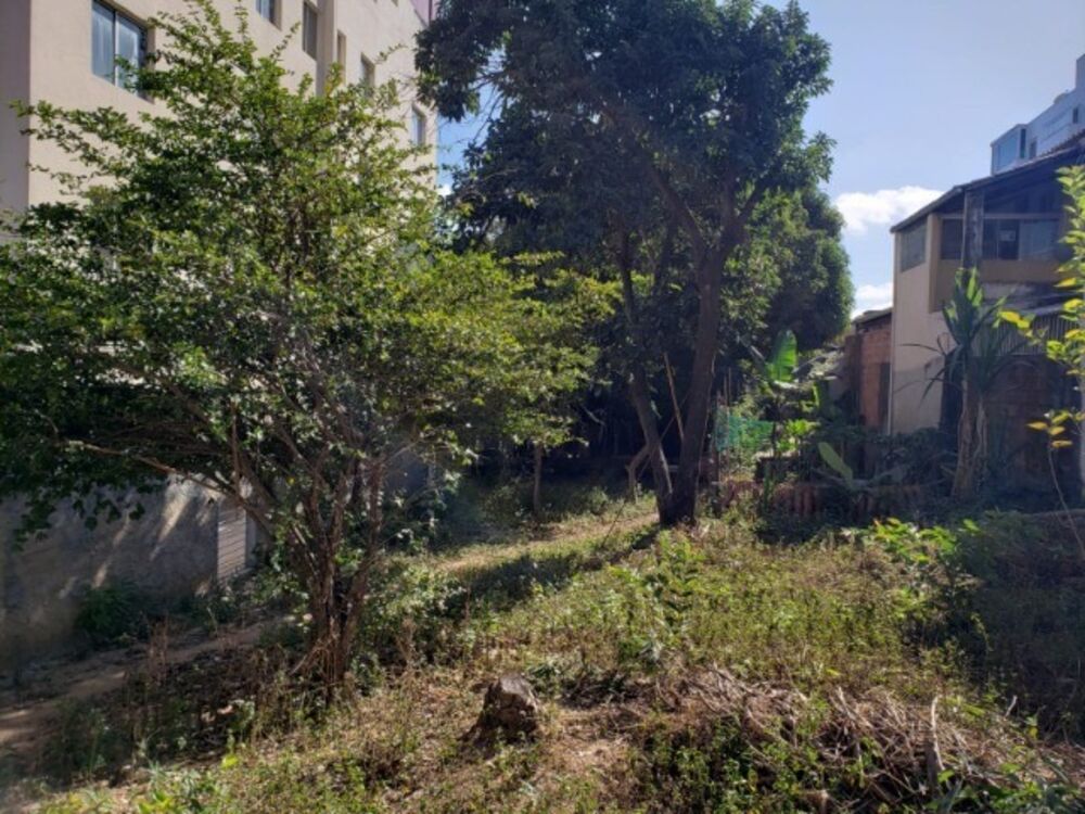 Terreno, 360 m² - Foto 4