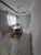 Apartamento, 3 quartos, 60 m² - Foto 2