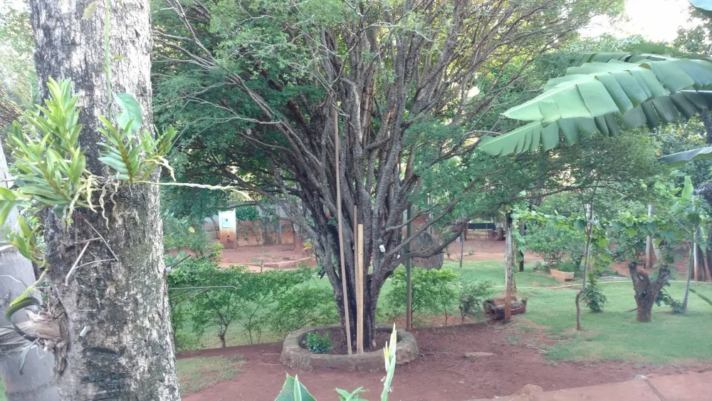 Chácara, 3 quartos - Foto 18