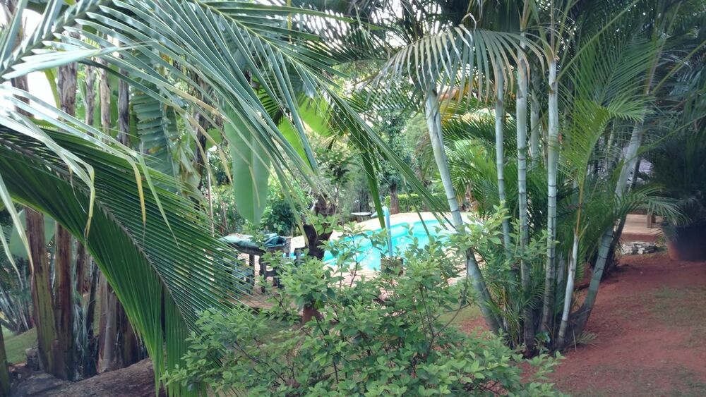 Chácara, 3 quartos - Foto 3