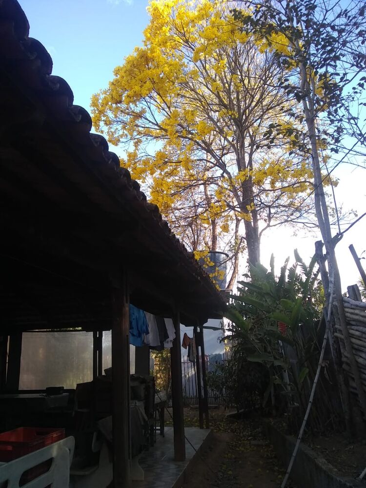 Sítio à venda com 7 quartos, 600m² - Foto 7