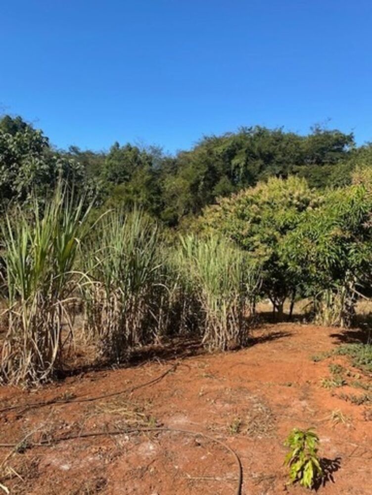 Sítio, 2 quartos, 100 m² - Foto 8