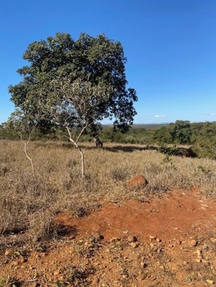 Sítio, 2 quartos, 100 m² - Foto 12