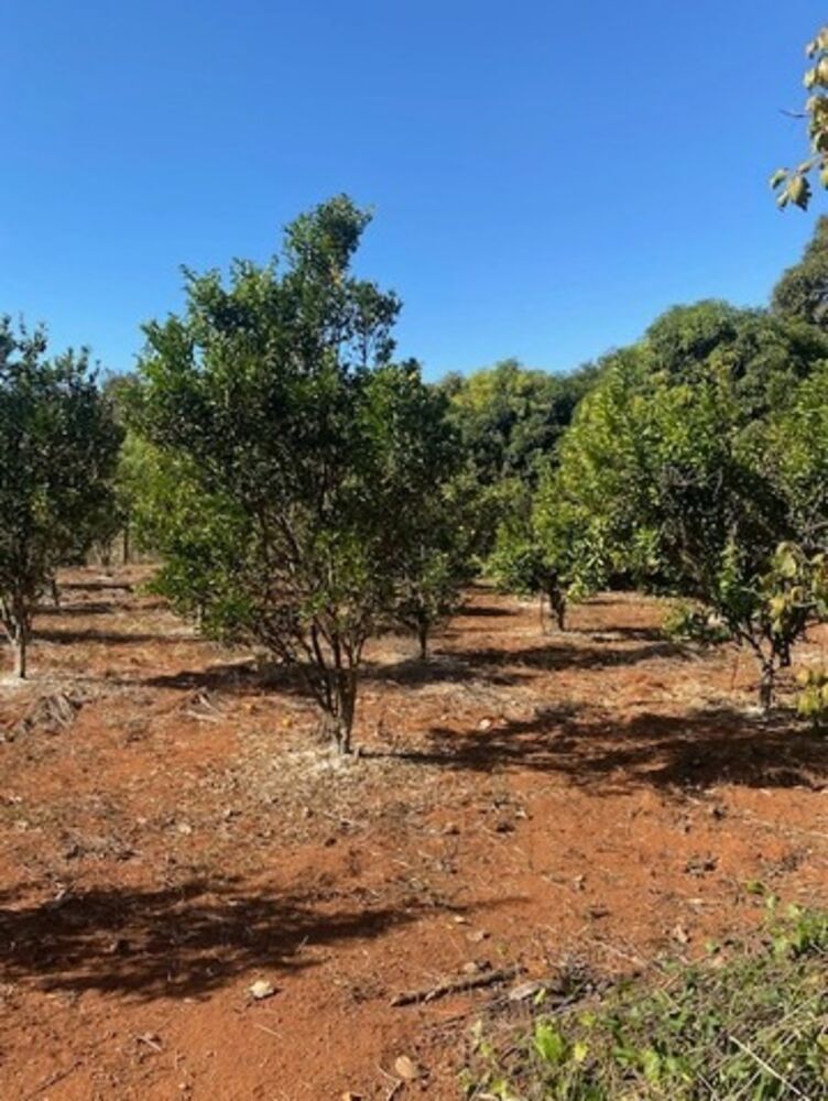 Sítio, 2 quartos, 100 m² - Foto 11