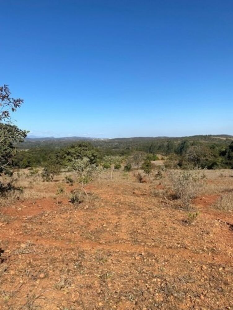 Sítio, 2 quartos, 100 m² - Foto 5