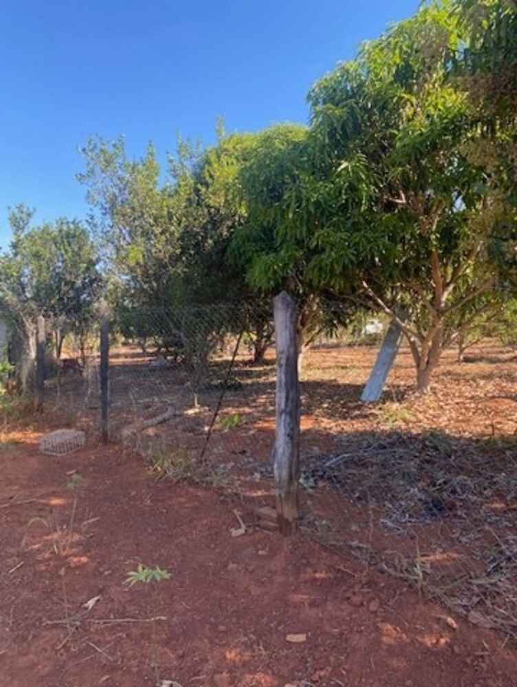 Sítio, 2 quartos, 100 m² - Foto 4