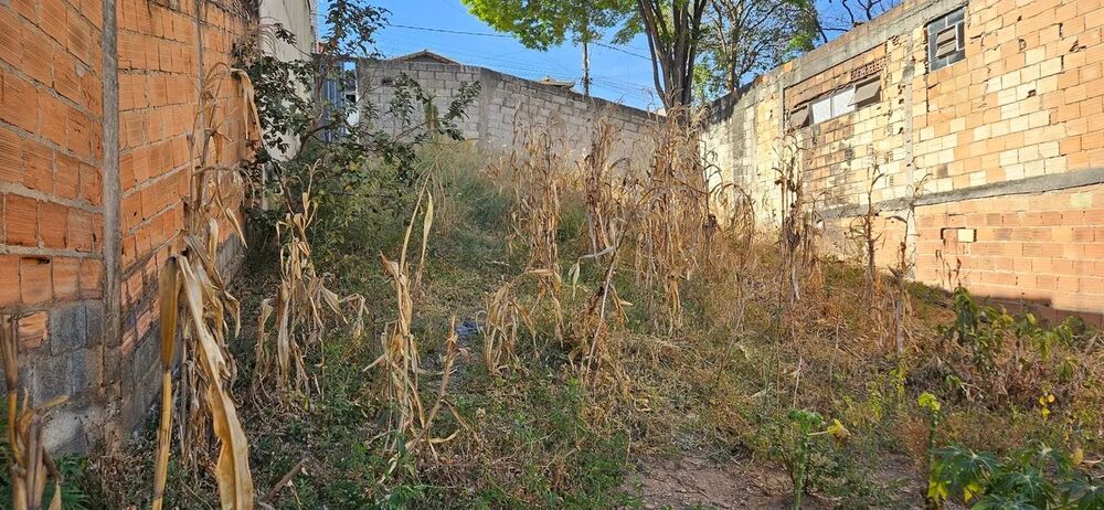 Terreno, 200 m² - Foto 6