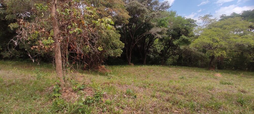 Terreno, 1000 m² - Foto 8